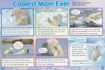 圖片 Scholastic News Grade 1 (2025-2026學年)
