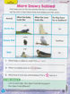 圖片 Scholastic News Grade 1 (2025-2026學年)