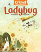 圖片 LADYBUG過刊
