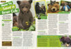 圖片 預購Scholastic News Grade 5-6 (2026-2027學年)